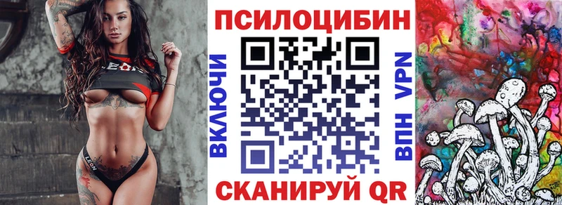 Купить где  Спас-Деменск  Галлюциногенные грибы Cubensis 